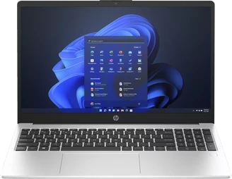 HP 250 G10, Turbo Silver, N100, 8GB RAM, 512GB SSD