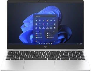 HP 250 G10, Turbo Silver, N100, 8GB RAM, 256GB SSD
