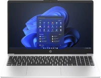 HP 250 G10, Turbo Silver, Core i3-1315U, 8GB RAM, 512GB SSD