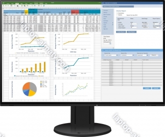 Eizo FlexScan EV2457 black, 24.1"