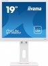 iiyama ProLite B1980D-W1, 19"