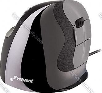 BakkerElkhuizen Evoluent D vertical mouse right Small, USB