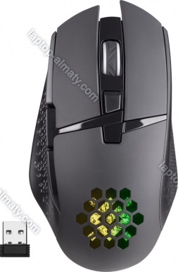 Defender Glory GM-514 wireless Gaming Mouse black, USB