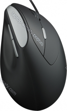 Rapoo EV200 Silent Ergonomic wired Mouse black/silver, USB