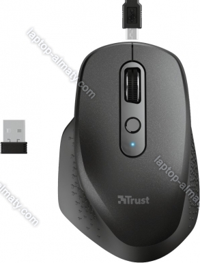 Trust Ozaa rechargeable wireless Mouse black, USB