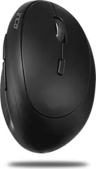 Inca IWM-279 vertical wireless Mouse black, USB