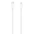 Apple Magic Mouse 2021, white/silver, Bluetooth