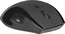 Defender Accura MM-295 wireless Optical Mouse black, USB