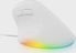 Natec Crake 2 Pro vertical wired Mouse white, USB