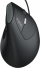 Rapoo EV200 Silent Ergonomic wired Mouse black/silver, USB