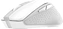 Trust Nito Silent wireless white/grey, USB