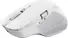 Trust Ozaa+ Multi-Device wireless Mouse white, USB/Bluetooth