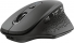 Trust Ozaa rechargeable wireless Mouse black, USB
