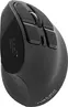 Natec Euphonie vertical wireless Mouse black, USB/Bluetooth