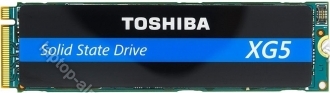 KIOXIA XG5 Client SSD 256GB, M.2
