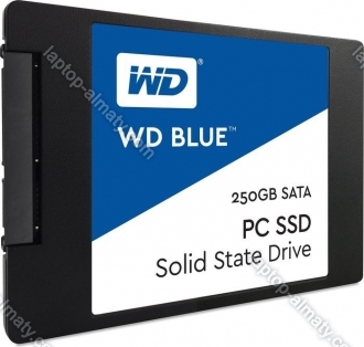 Western Digital WD Blue PC SSD 250GB, SATA