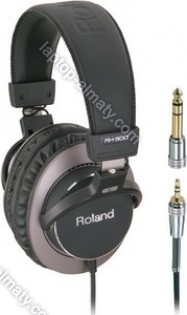 Roland RH-300