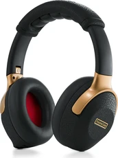 Positive Grid Spark NEO