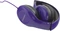 Esperanza Soul purple