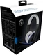 Gioteck XH100P