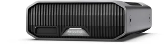 SanDisk Professional G-DRIVE Project, 24TB, Thunderbolt 3 / USB-C 3.1 mit DisplayPort 1.4