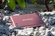 goodram HX200 portable SSD, Rosa Gold, 500GB, USB-C 3.1