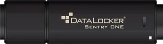 DataLocker Sentry ONE 128GB, USB-A 3.0